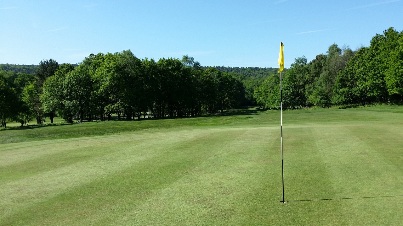 golf, golf course, green-787464.jpg